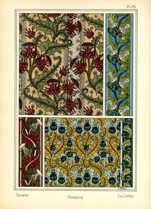 De Distel door J. Milesi